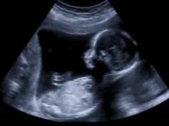 Καταγράφηκε για πρώτη φορά σε πραγματικό χρόνο πώς ένα έμβρυο κάνει «εισβολή» στη μήτρα