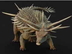 Ανακαλύφθηκε ο πιο τεθωρακισμένος δεινόσαυρος που υπήρξε ποτέ στη Γη