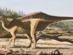 Ανακαλύφθηκε ο πρώτος δεινόσαυρος με… ιστίο στη ράχη