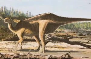 Ανακαλύφθηκε ο πρώτος δεινόσαυρος με… ιστίο στη ράχη