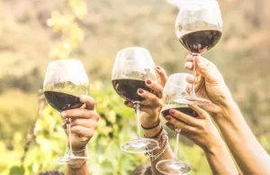 Εξελικτικό…δώρο των πιθήκων η έλξη αλλά και αντοχή των ανθρώπων στο αλκοόλ