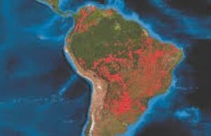 Τα δέντρα στο δάσος του Αμαζονίου ψηλώνουν εξαιτίας της κλιματικής αλλαγής