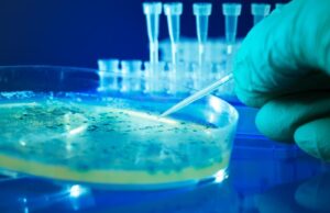 Επιστήμονες δημιούργησαν τους πρώτους ιούς που σχεδιάστηκαν από τεχνητή νοημοσύνη