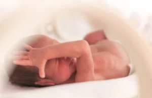 Τα βακτήρια του εντέρου ίσως προβλέπουν τον πρόωρο τοκετό, δείχνει νέα μελέτη