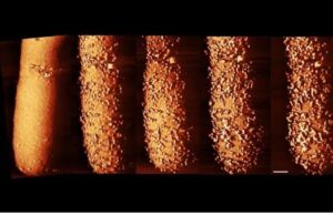 Για πρώτη φορά καταγράφεται σε εικόνα ένα αντιβιοτικό να σκοτώνει βακτήρια σε πραγματικό χρόνο