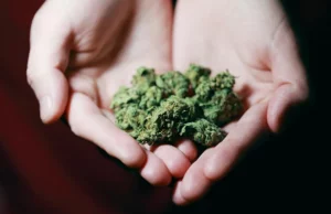 Το DNA σας μπορεί να είναι το κλειδί για τη σχέση σας με την κάνναβη, σύμφωνα με νέα μελέτη