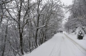 Επιστρέφει το φαινόμενο La Niña: Ο πλανήτης σε φάση ψύξης – Πώς θα επηρεαστεί ο φετινός χειμώνας