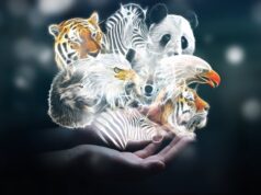 Περίπου 50 χιλιάδες είδη του ζωικού βασιλείου σε άμεσο κίνδυνο εξαφάνισης σύμφωνα με τη νέα κόκκινη λίστα