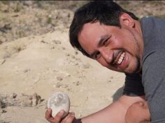 Βρέθηκε άθικτο αβγό δεινοσαύρου που μπορεί να διαθέτει ακόμη και εμβρυϊκό υλικό