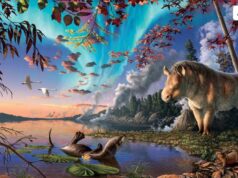 Ρινόκεροι χωρίς κέρατα ζούσαν κάποτε στην Αρκτική