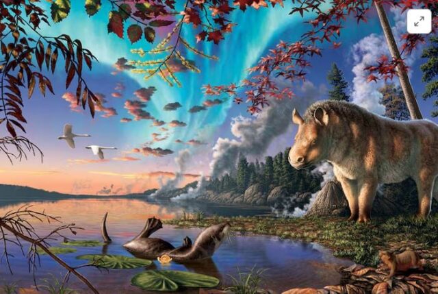 Ρινόκεροι χωρίς κέρατα ζούσαν κάποτε στην Αρκτική Ρινόκεροι χωρίς κέρατα ζούσαν κάποτε στην Αρκτική