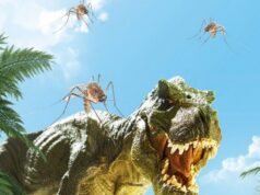 Εντοπίστηκε το αρχαιότερο κουνούπι της Γης το οποίο «τσίμπαγε» τους δεινοσαύρους