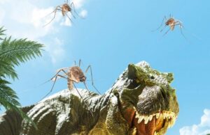 Εντοπίστηκε το αρχαιότερο κουνούπι της Γης το οποίο «τσίμπαγε» τους δεινοσαύρους