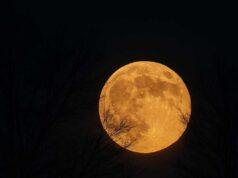 Πανσέληνος Οκτωβρίου 2025: To «Φεγγάρι της Συγκομιδής»