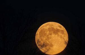 Πανσέληνος Οκτωβρίου 2025: To «Φεγγάρι της Συγκομιδής»