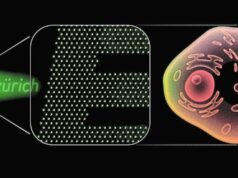 Ελβετοί επιστήμονες δημιούργησαν τα μικρότερα OLED στον κόσμο — 100 φορές μικρότερα από ένα ανθρώπινο κύτταρο