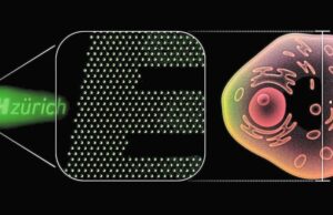 Ελβετοί επιστήμονες δημιούργησαν τα μικρότερα OLED στον κόσμο — 100 φορές μικρότερα από ένα ανθρώπινο κύτταρο