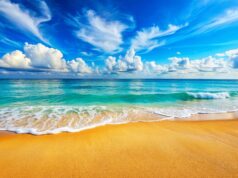 Οι μισές παραλίες της Γης θα εξαφανιστούν μέχρι το τέλος του αιώνα λένε ειδικοί