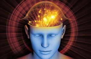 Εντοπίστηκαν οι «πέντε εποχές» του ανθρώπινου εγκεφάλου