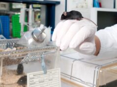 Η Βρετανία βάζει στοπ στη χρήση πειραματόζωων με τεχνολογίες τεχνητής νοημοσύνης και 3D εκτύπωσης