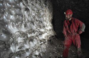 Εντυπωσιακό εύρημα στα σύνορα Ελλάδας – Αλβανίας: Ο μεγαλύτερος ιστός αραχνών στον πλανήτη