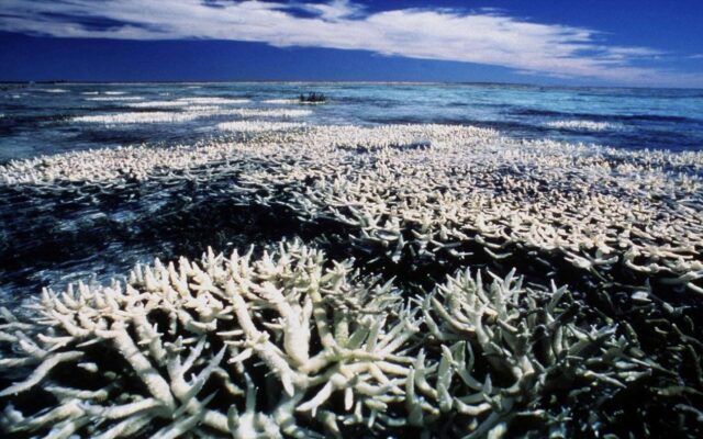 Οι ωκεανοί υποφέρουν από την κλιματική αλλαγή και η Μεσόγειος είναι πλέον hotspot λέει κορυφαίος ειδικός