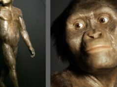 Ένα δεύτερο είδος δίπλα στη Λούσι