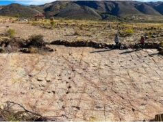 Εντοπίστηκαν 18 χιλιάδες πατημασιές και άλλα ίχνη δεινοσαύρων σε αρχαία ακτή στη Βολιβία