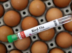 Συναγερμός για τον Η5Ν1: Η Ευρώπη αντιμέτωπη με πρωτοφανή έξαρση