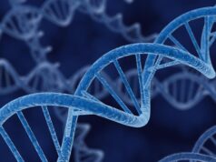 Νέοι χάρτες 4D του DNA υπόσχονται επανάσταση στην ανθρώπινη βιολογία