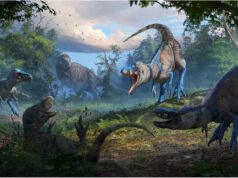 Επιβεβαιώνεται η ύπαρξη μίνι Τυραννόσαυρων στη Γη