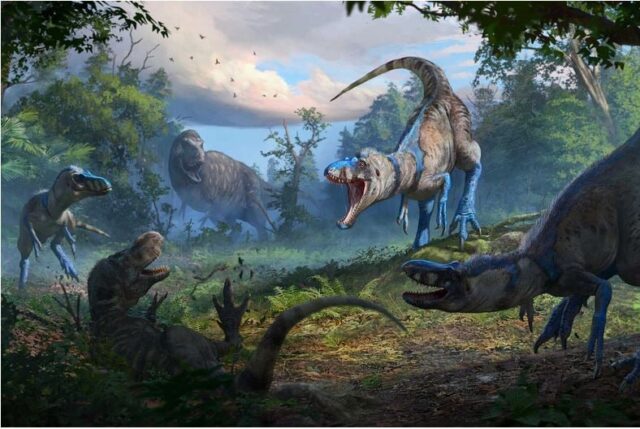 Επιβεβαιώνεται η ύπαρξη μίνι Τυραννόσαυρων στη Γη