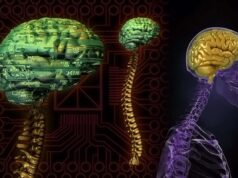 Νέα έρευνα: Μοντέλα ΑΙ που μιμούνται τον εγκέφαλο μαθαίνουν πριν καν εκπαιδευτούν