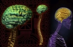 Νέα έρευνα: Μοντέλα ΑΙ που μιμούνται τον εγκέφαλο μαθαίνουν πριν καν εκπαιδευτούν