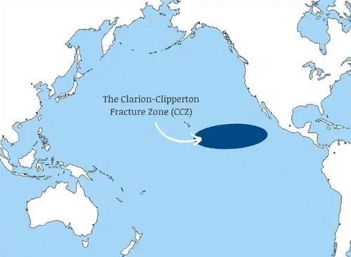 Εκατοντάδες άγνωστα είδη ανακαλύφθηκαν στον πυθμένα του Ειρηνικού Ωκεανού