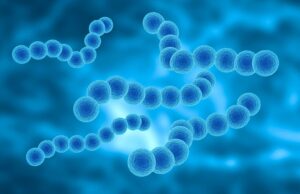 Πνευμονιόκοκκος: Τα συμπτώματα, πώς μεταδίδεται – Οι τρόποι αντιμετώπισης και το εμβόλιο