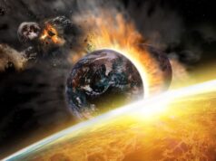 Σώθηκαν από τον αφανισμό – Επιβίωσαν σε ένα λατομείο της Κίνας – «Αποκαλύφθηκαν» 500 εκατ. χρόνια μετά