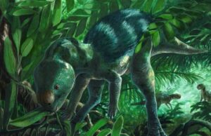 Ανακαλύφθηκε άγνωστο είδος δεινοσαύρου… χόμπιτ