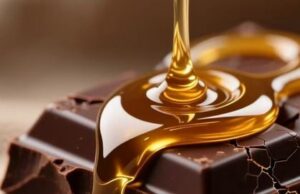Δημιουργήθηκε μέλι σοκολάτας ωφέλιμο για την ανθρώπινη υγεία