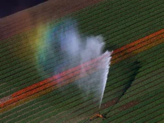 Φυτοφάρμακα παντού στην Ευρώπη: Μολύνουν ήδη το 70% των εδαφών δείχνει νέα μελέτη