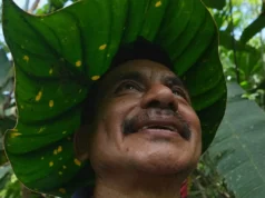 «Κανείς δεν μας ενθαρρύνει»: Ο μοναχικός αγώνας μιας οικογένειας για τα απειλούμενα φυτά στον Αμαζόνιο