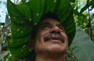 «Κανείς δεν μας ενθαρρύνει»: Ο μοναχικός αγώνας μιας οικογένειας για τα απειλούμενα φυτά στον Αμαζόνιο