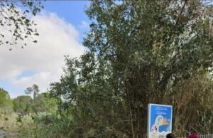 Οι κίνδυνοι για τη βιοποικιλότητα: Μέτρα, προκλήσεις και η ασπίδα της Μονάδας Εκπαίδευσης για το Περιβάλλον και την Αειφόρο Ανάπτυξη