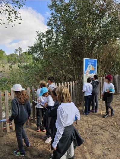 2.1.1_Από τη Γνώση στην Προστασία_Λίμνη Πάρκου Αθαλάσσας