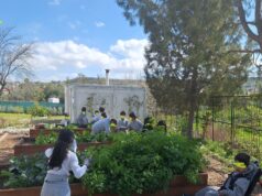 Όταν η αυλή γίνεται τάξη: Πώς οι πράσινοι χώροι μάθησης αλλάζουν το σχολείο και τη ζωή μας