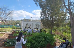 Όταν η αυλή γίνεται τάξη: Πώς οι πράσινοι χώροι μάθησης αλλάζουν το σχολείο και τη ζωή μας