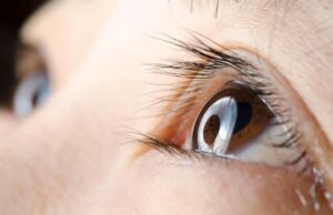 Οι άνθρωποι βλέπουμε με τα μάτια ενός… σκουληκιού που ζούσε πριν 600 εκατομμύρια έτη