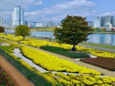 Μας κάνουν τα χρήματα ευτυχισμένους; Η πλουσιότερη πόλη της Νότιας Κορέας αμφιβάλλει έχοντας υψηλά ποσοστά κατάθλιψης