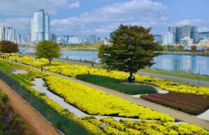 Μας κάνουν τα χρήματα ευτυχισμένους; Η πλουσιότερη πόλη της Νότιας Κορέας αμφιβάλλει έχοντας υψηλά ποσοστά κατάθλιψης