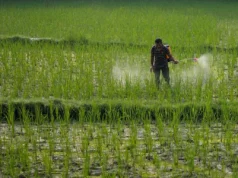 Μελέτη συνδέει την έκθεση σε γεωργικά φυτοφάρμακα με τον κίνδυνο καρκίνου